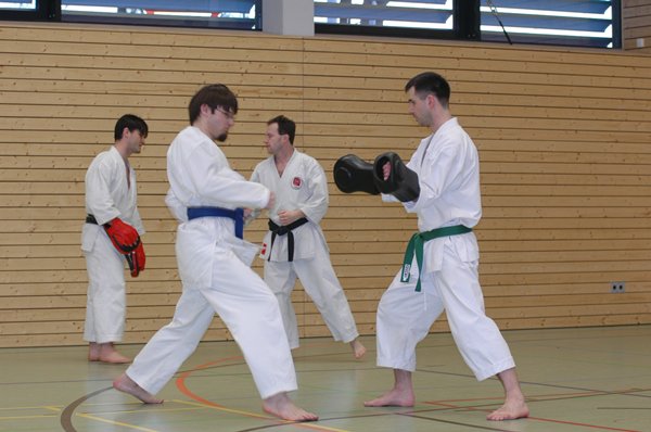 Karate_2008-02-16_rs_33.jpg