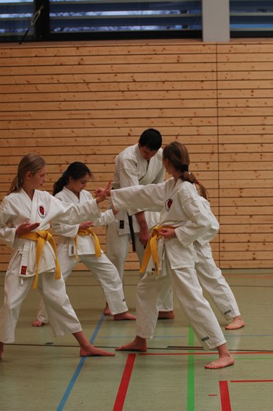 Karate_2008-02-16_rs_65.jpg