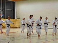 Das Dresdner Oberstufentraining fand nach Jahren der Abstinenz endlich wieder statt!!!  Am 04.11.2016 lud unser Torii Dojo alle Vereine in und um Dresden zu einer gemeinsamen Trainingseinheit ein. Diesem Ruf folgten die Dresdner Dojos Nitta, Ouchi und Muromachi sowie Kuroda Yoshitaka und Sakura aus Pirna. Hauptschwerpunkte waren dabei das lockere Kumite mit einem und mehreren Partnern und abschließend die Kata Jion. Abgerundet wurde der Abend durch ein gemeinsames Essen beim Italiener. Wir freuen uns, dass so viele Karateka den Weg zu uns gefunden haben und hoffen auf eine baldige Wiederholung.  Danke an alle fürs Kommen! Oss Sandra :)