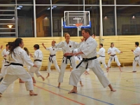 Das Dresdner Oberstufentraining fand nach Jahren der Abstinenz endlich wieder statt!!!  Am 04.11.2016 lud unser Torii Dojo alle Vereine in und um Dresden zu einer gemeinsamen Trainingseinheit ein. Diesem Ruf folgten die Dresdner Dojos Nitta, Ouchi und Muromachi sowie Kuroda Yoshitaka und Sakura aus Pirna. Hauptschwerpunkte waren dabei das lockere Kumite mit einem und mehreren Partnern und abschließend die Kata Jion. Abgerundet wurde der Abend durch ein gemeinsames Essen beim Italiener. Wir freuen uns, dass so viele Karateka den Weg zu uns gefunden haben und hoffen auf eine baldige Wiederholung.  Danke an alle fürs Kommen! Oss Sandra :)