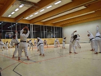 Das Dresdner Oberstufentraining fand nach Jahren der Abstinenz endlich wieder statt!!!  Am 04.11.2016 lud unser Torii Dojo alle Vereine in und um Dresden zu einer gemeinsamen Trainingseinheit ein. Diesem Ruf folgten die Dresdner Dojos Nitta, Ouchi und Muromachi sowie Kuroda Yoshitaka und Sakura aus Pirna. Hauptschwerpunkte waren dabei das lockere Kumite mit einem und mehreren Partnern und abschließend die Kata Jion. Abgerundet wurde der Abend durch ein gemeinsames Essen beim Italiener. Wir freuen uns, dass so viele Karateka den Weg zu uns gefunden haben und hoffen auf eine baldige Wiederholung.  Danke an alle fürs Kommen! Oss Sandra :)