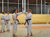 Das Dresdner Oberstufentraining fand nach Jahren der Abstinenz endlich wieder statt!!!  Am 04.11.2016 lud unser Torii Dojo alle Vereine in und um Dresden zu einer gemeinsamen Trainingseinheit ein. Diesem Ruf folgten die Dresdner Dojos Nitta, Ouchi und Muromachi sowie Kuroda Yoshitaka und Sakura aus Pirna. Hauptschwerpunkte waren dabei das lockere Kumite mit einem und mehreren Partnern und abschließend die Kata Jion. Abgerundet wurde der Abend durch ein gemeinsames Essen beim Italiener. Wir freuen uns, dass so viele Karateka den Weg zu uns gefunden haben und hoffen auf eine baldige Wiederholung.  Danke an alle fürs Kommen! Oss Sandra :)