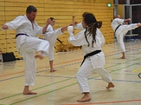Das Dresdner Oberstufentraining fand nach Jahren der Abstinenz endlich wieder statt!!!  Am 04.11.2016 lud unser Torii Dojo alle Vereine in und um Dresden zu einer gemeinsamen Trainingseinheit ein. Diesem Ruf folgten die Dresdner Dojos Nitta, Ouchi und Muromachi sowie Kuroda Yoshitaka und Sakura aus Pirna. Hauptschwerpunkte waren dabei das lockere Kumite mit einem und mehreren Partnern und abschließend die Kata Jion. Abgerundet wurde der Abend durch ein gemeinsames Essen beim Italiener. Wir freuen uns, dass so viele Karateka den Weg zu uns gefunden haben und hoffen auf eine baldige Wiederholung.  Danke an alle fürs Kommen! Oss Sandra :)