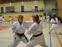 Das Dresdner Oberstufentraining fand nach Jahren der Abstinenz endlich wieder statt!!!  Am 04.11.2016 lud unser Torii Dojo alle Vereine in und um Dresden zu einer gemeinsamen Trainingseinheit ein. Diesem Ruf folgten die Dresdner Dojos Nitta, Ouchi und Muromachi sowie Kuroda Yoshitaka und Sakura aus Pirna. Hauptschwerpunkte waren dabei das lockere Kumite mit einem und mehreren Partnern und abschließend die Kata Jion. Abgerundet wurde der Abend durch ein gemeinsames Essen beim Italiener. Wir freuen uns, dass so viele Karateka den Weg zu uns gefunden haben und hoffen auf eine baldige Wiederholung.  Danke an alle fürs Kommen! Oss Sandra :)