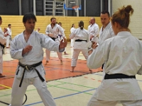 Das Dresdner Oberstufentraining fand nach Jahren der Abstinenz endlich wieder statt!!!  Am 04.11.2016 lud unser Torii Dojo alle Vereine in und um Dresden zu einer gemeinsamen Trainingseinheit ein. Diesem Ruf folgten die Dresdner Dojos Nitta, Ouchi und Muromachi sowie Kuroda Yoshitaka und Sakura aus Pirna. Hauptschwerpunkte waren dabei das lockere Kumite mit einem und mehreren Partnern und abschließend die Kata Jion. Abgerundet wurde der Abend durch ein gemeinsames Essen beim Italiener. Wir freuen uns, dass so viele Karateka den Weg zu uns gefunden haben und hoffen auf eine baldige Wiederholung.  Danke an alle fürs Kommen! Oss Sandra :)