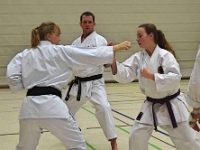Das Dresdner Oberstufentraining fand nach Jahren der Abstinenz endlich wieder statt!!!  Am 04.11.2016 lud unser Torii Dojo alle Vereine in und um Dresden zu einer gemeinsamen Trainingseinheit ein. Diesem Ruf folgten die Dresdner Dojos Nitta, Ouchi und Muromachi sowie Kuroda Yoshitaka und Sakura aus Pirna. Hauptschwerpunkte waren dabei das lockere Kumite mit einem und mehreren Partnern und abschließend die Kata Jion. Abgerundet wurde der Abend durch ein gemeinsames Essen beim Italiener. Wir freuen uns, dass so viele Karateka den Weg zu uns gefunden haben und hoffen auf eine baldige Wiederholung.  Danke an alle fürs Kommen! Oss Sandra :)