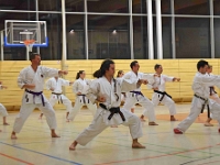 Das Dresdner Oberstufentraining fand nach Jahren der Abstinenz endlich wieder statt!!!  Am 04.11.2016 lud unser Torii Dojo alle Vereine in und um Dresden zu einer gemeinsamen Trainingseinheit ein. Diesem Ruf folgten die Dresdner Dojos Nitta, Ouchi und Muromachi sowie Kuroda Yoshitaka und Sakura aus Pirna. Hauptschwerpunkte waren dabei das lockere Kumite mit einem und mehreren Partnern und abschließend die Kata Jion. Abgerundet wurde der Abend durch ein gemeinsames Essen beim Italiener. Wir freuen uns, dass so viele Karateka den Weg zu uns gefunden haben und hoffen auf eine baldige Wiederholung.  Danke an alle fürs Kommen! Oss Sandra :)