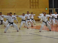 Das Dresdner Oberstufentraining fand nach Jahren der Abstinenz endlich wieder statt!!!  Am 04.11.2016 lud unser Torii Dojo alle Vereine in und um Dresden zu einer gemeinsamen Trainingseinheit ein. Diesem Ruf folgten die Dresdner Dojos Nitta, Ouchi und Muromachi sowie Kuroda Yoshitaka und Sakura aus Pirna. Hauptschwerpunkte waren dabei das lockere Kumite mit einem und mehreren Partnern und abschließend die Kata Jion. Abgerundet wurde der Abend durch ein gemeinsames Essen beim Italiener. Wir freuen uns, dass so viele Karateka den Weg zu uns gefunden haben und hoffen auf eine baldige Wiederholung.  Danke an alle fürs Kommen! Oss Sandra :)