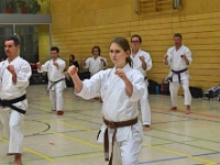 Das Dresdner Oberstufentraining fand nach Jahren der Abstinenz endlich wieder statt!!!  Am 04.11.2016 lud unser Torii Dojo alle Vereine in und um Dresden zu einer gemeinsamen Trainingseinheit ein. Diesem Ruf folgten die Dresdner Dojos Nitta, Ouchi und Muromachi sowie Kuroda Yoshitaka und Sakura aus Pirna. Hauptschwerpunkte waren dabei das lockere Kumite mit einem und mehreren Partnern und abschließend die Kata Jion. Abgerundet wurde der Abend durch ein gemeinsames Essen beim Italiener. Wir freuen uns, dass so viele Karateka den Weg zu uns gefunden haben und hoffen auf eine baldige Wiederholung.  Danke an alle fürs Kommen! Oss Sandra :)