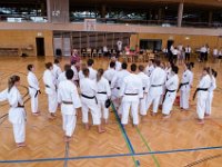 Am Wochendende des 24./25.06.2017 fand das alljährliche Internationale Kyu-Turnier sowie der anschließende Kawasoe Memorial Cup in Österreich statt. Von Torii begaben sich Marcus, Franzi und Anne auf die lange Reise dahin. Neben Teilnehmern aus Deutschland, war auch Österreich, die Schweiz, Ungarn und Slowenien vertreten. Unsere Torii's gaben ihr Bestes und kehrten mit super Platzierungen wieder zurück. : Cup, Karate, Kawasoe, Medaille, Meisterschaft, Memorial, Verein