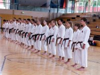 Am Wochendende des 24./25.06.2017 fand das alljährliche Internationale Kyu-Turnier sowie der anschließende Kawasoe Memorial Cup in Österreich statt. Von Torii begaben sich Marcus, Franzi und Anne auf die lange Reise dahin. Neben Teilnehmern aus Deutschland, war auch Österreich, die Schweiz, Ungarn und Slowenien vertreten. Unsere Torii's gaben ihr Bestes und kehrten mit super Platzierungen wieder zurück. : Cup, Karate, Kawasoe, Medaille, Meisterschaft, Memorial, Verein