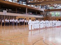 Am Wochendende des 24./25.06.2017 fand das alljährliche Internationale Kyu-Turnier sowie der anschließende Kawasoe Memorial Cup in Österreich statt. Von Torii begaben sich Marcus, Franzi und Anne auf die lange Reise dahin. Neben Teilnehmern aus Deutschland, war auch Österreich, die Schweiz, Ungarn und Slowenien vertreten. Unsere Torii's gaben ihr Bestes und kehrten mit super Platzierungen wieder zurück. : Cup, Karate, Kawasoe, Medaille, Meisterschaft, Memorial, Verein