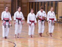 Am Wochendende des 24./25.06.2017 fand das alljährliche Internationale Kyu-Turnier sowie der anschließende Kawasoe Memorial Cup in Österreich statt. Von Torii begaben sich Marcus, Franzi und Anne auf die lange Reise dahin. Neben Teilnehmern aus Deutschland, war auch Österreich, die Schweiz, Ungarn und Slowenien vertreten. Unsere Torii's gaben ihr Bestes und kehrten mit super Platzierungen wieder zurück. : Cup, Karate, Kawasoe, Medaille, Meisterschaft, Memorial, Verein