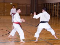 Am Wochendende des 24./25.06.2017 fand das alljährliche Internationale Kyu-Turnier sowie der anschließende Kawasoe Memorial Cup in Österreich statt. Von Torii begaben sich Marcus, Franzi und Anne auf die lange Reise dahin. Neben Teilnehmern aus Deutschland, war auch Österreich, die Schweiz, Ungarn und Slowenien vertreten. Unsere Torii's gaben ihr Bestes und kehrten mit super Platzierungen wieder zurück. : Cup, Karate, Kawasoe, Medaille, Meisterschaft, Memorial, Verein