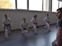 DSC 0014